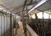 Nau Industrial
en venda
amb 272m² a Borela, a la zona de Borela foto