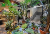 Restaurante en venta con 550m² en Almuñécar, Avenida Europa foto