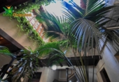 Restaurante en venta con 550m² en Almuñécar, Avenida Europa foto