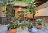 Restaurante en venta con 550m² en Almuñécar, Avenida Europa foto