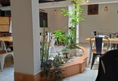 Restaurante en venta con 200m² en Villacarlos, Maó-Barcelona foto