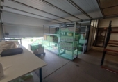 120m² warehouse industrial for rent in Loiu photo