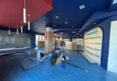 306m² commercial premises for rent in Elche, photo