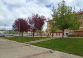 Local comercial en alquiler con 107m² en Arroyo de la Encomienda, en la zona de La Vega foto
