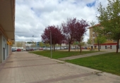 Local comercial en alquiler con 107m² en Arroyo de la Encomienda, en la zona de La Vega foto