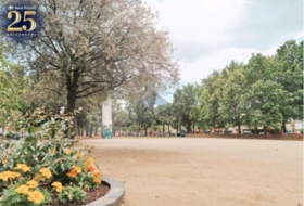 Foto 14