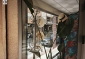 Local comercial en venta con 250m² en Torrevieja, Calle del Mar Báltico foto