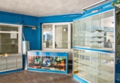 Local comercial en venta con 120m² en Elda, avenida de chapí foto