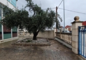 Oficina
en venda
amb 107m² a Alzira, Ronda dels Tintorers foto