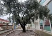 Oficina
en venda
amb 107m² a Alzira, Ronda dels Tintorers foto
