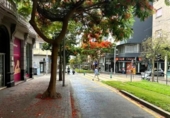 Oficinas en venta con 362m² en Santa Cruz de Tenerife, en la zona de Duggi, rambla de pulido, 38004 foto