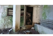 3946m² commercial premises for sale in Ferrol, in the area of Recimil, Rúa Sol photo