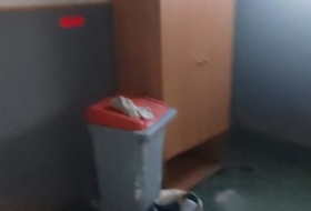 Foto 16