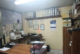 Foto 15