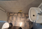 Local comercial en alquiler con 76m² en Mengíbar foto