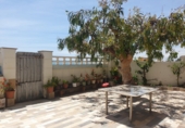 519m² building for sale in Burriana photo