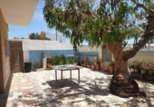 519m² building for sale in Burriana photo