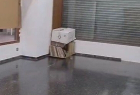 Foto 7