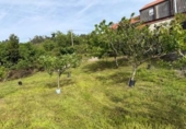 567m² restaurant for sale in Silleda, photo