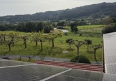 567m² restaurant for sale in Silleda, photo