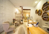 39m² commercial premises for sale in Madrid, in the area of University, calle de santa bárbara, 28004 photo