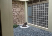 Oficina
en venda
amb 63m² a Las Palmas de Gran Canaria, a la zona de Vegueta, Calle Hernán Pérez Grado foto