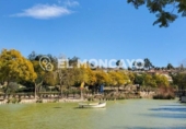 Nave Industrial en venta con 185m² en Benijófar foto