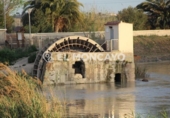 Nave Industrial en venta con 185m² en Benijófar foto