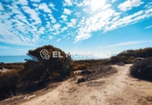Nave Industrial en venta con 185m² en Benijófar foto