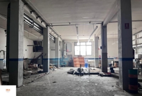 Foto 10