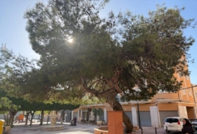 Foto 17