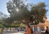 Local comercial en venta con 363m² en Elche, en la zona de Las Bayas, calle del mutxol, 03292 foto