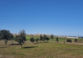 290m² entrepôt industriel pour vente à Bernardos, Calle San Roque photo