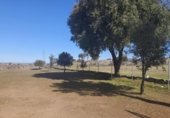 290m² entrepôt industriel pour vente à Bernardos, Calle San Roque photo