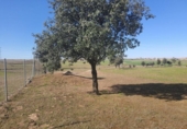 290m² entrepôt industriel pour vente à Bernardos, Calle San Roque photo