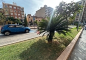 Local comercial en alquiler con 262m² en Castellón de la Plana foto
