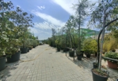5000m² warehouse for sale in Esparreguera photo