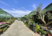 5000m² warehouse for sale in Esparreguera photo