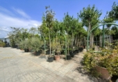 5000m² warehouse for sale in Esparreguera photo