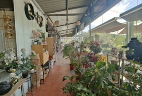 Foto 8