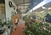 5000m² warehouse for sale in Esparreguera photo