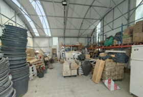 Foto 15