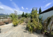 5000m² warehouse for sale in Esparreguera photo