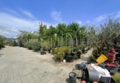 5000m² warehouse for sale in Esparreguera photo