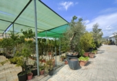 5000m² warehouse for sale in Esparreguera photo