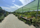 5000m² warehouse for sale in Esparreguera photo