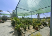 5000m² warehouse for sale in Esparreguera photo