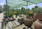 5000m² warehouse for sale in Esparreguera photo