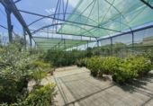 5000m² warehouse for sale in Esparreguera photo
