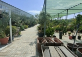 5000m² warehouse for sale in Esparreguera photo